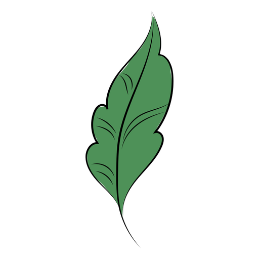 Nature leaf flat