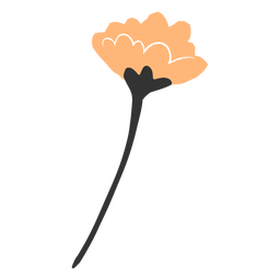Haste de flor de laranjeira plana Desenho PNG