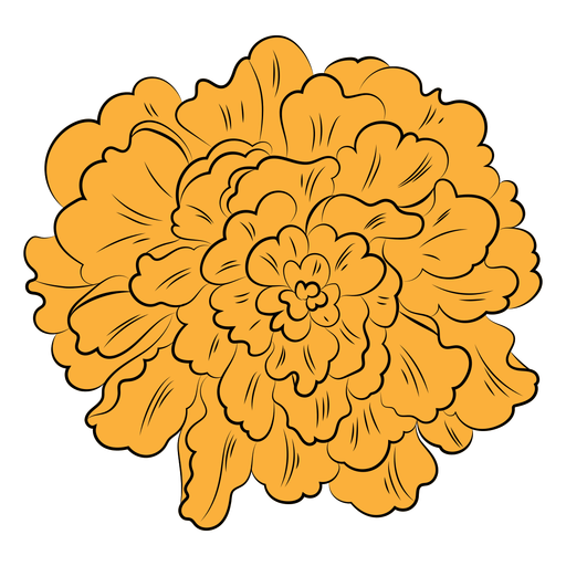 Orange marigold hand drawn PNG Design
