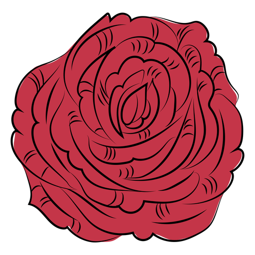 Dibujado a mano flor rosa naturaleza Diseño PNG
