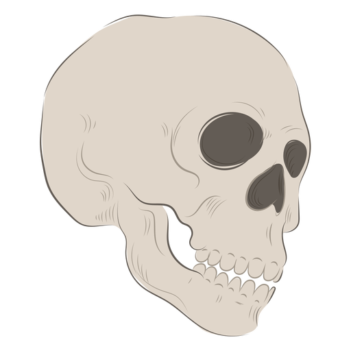 Side skull illustration PNG Design