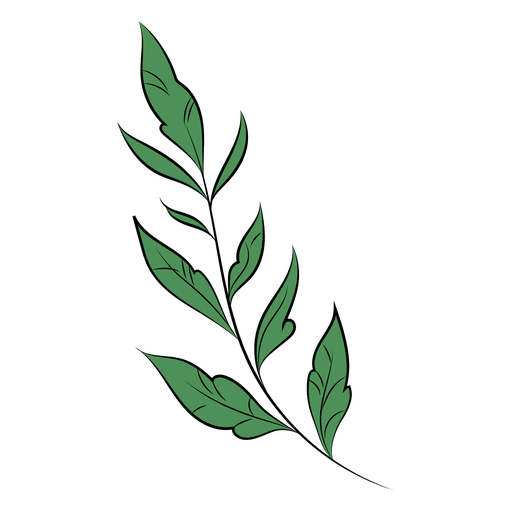Rama simple hojas planas Diseño PNG