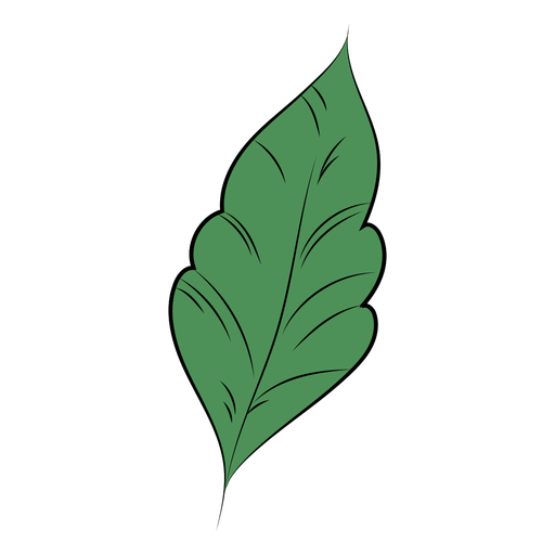 Folha plana simples Desenho PNG