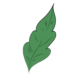 Planta de una sola hoja plana Diseño PNG