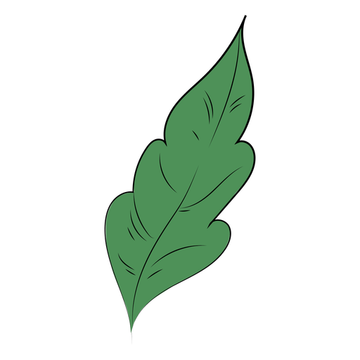 Einzelblattpflanze flach PNG-Design