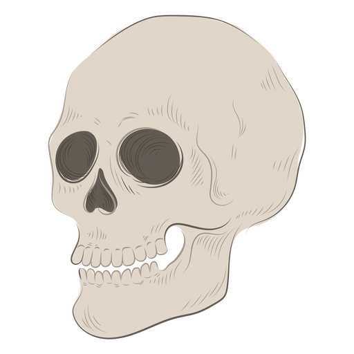 Ilustración de cráneo esqueleto Diseño PNG
