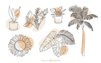 Conjunto de elementos de naturaleza vegetal