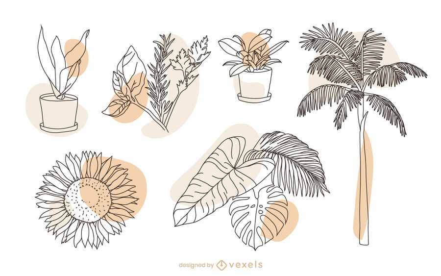 Conjunto de elementos de naturaleza vegetal Conjunto de elementos de naturaleza vegetal