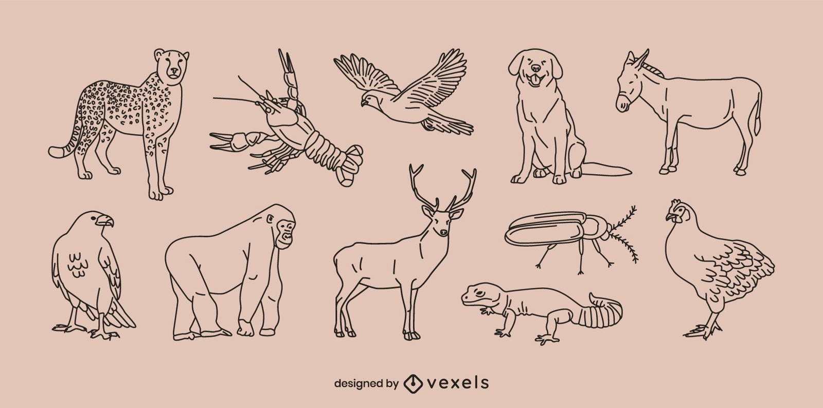 Various wild animals line art set