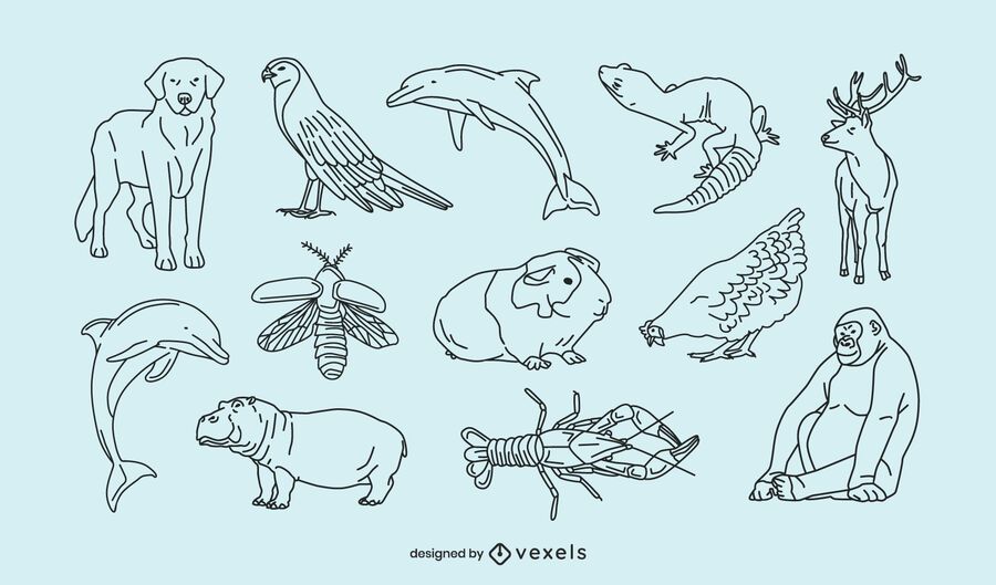 Animals thin line collection Animals thin line collection