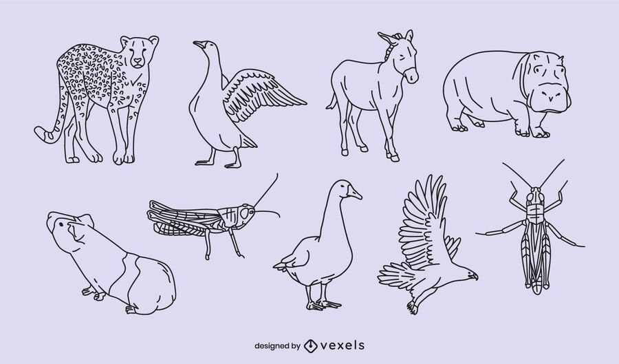Diseño de escenografía animal delgada Diseño de escenografía animal delgada