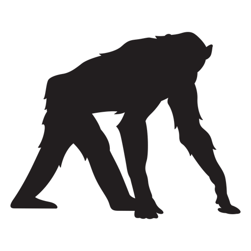 Chimpanzee monkey silhouette