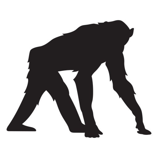 Silueta de mono chimpanc? Diseño PNG