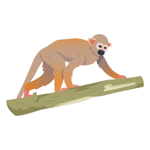 Gemeinsame Eichhörnchenaffe Illustration PNG-Design