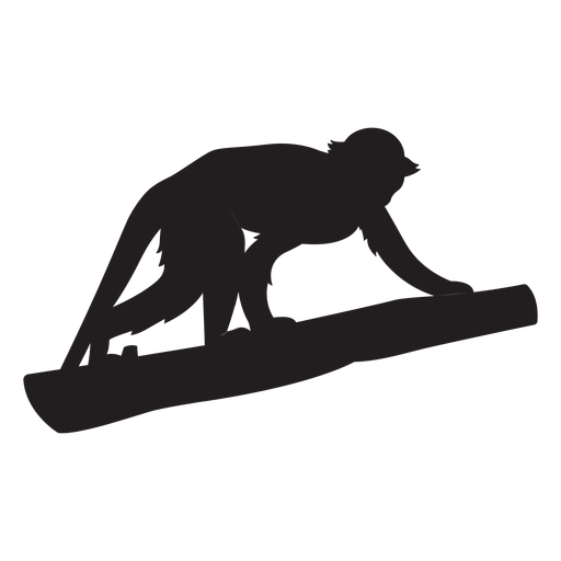 Gemeinsame Eichhörnchenaffe Silhouette PNG-Design