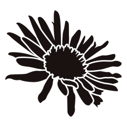 Daisy flower stencil Daisy flower stencil