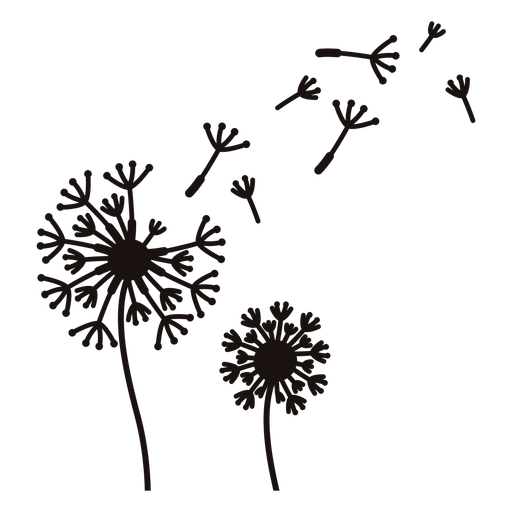 Dandelion flower blowing stroke - Transparent PNG & SVG vector file