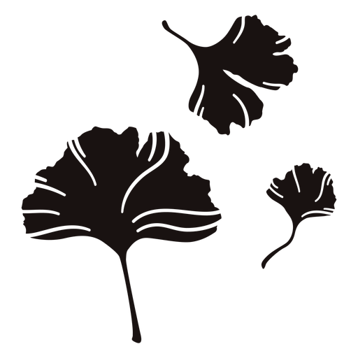 Blütenblatt Naturstrich PNG-Design