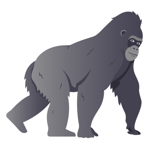 Ilustración de especie de mono gorila