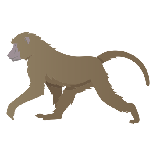Ilustração de babuíno da Guiné Desenho PNG