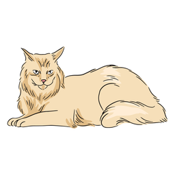 Ilustración de colocación de maine coon Diseño PNG