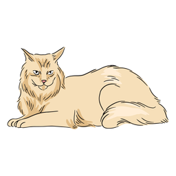 Maine coon laying illustration