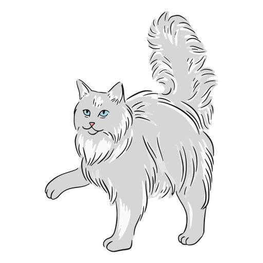 Ilustración de la pata de maine coon Diseño PNG