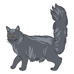 Ilustración del lado de maine coon Diseño PNG