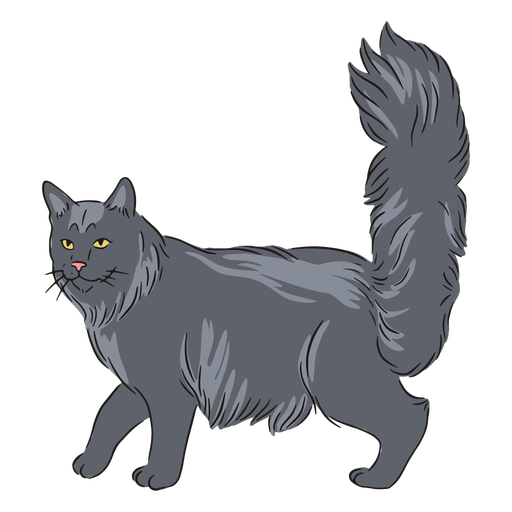 Ilustración del lado de maine coon Diseño PNG