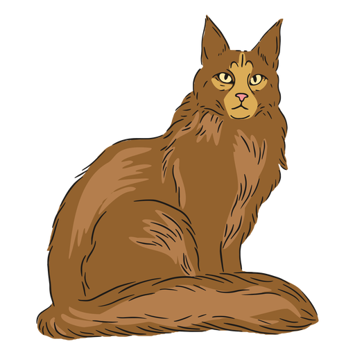 Maine coon sitting illustration PNG Design