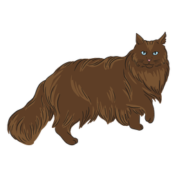 Maine coon walking illustration PNG Design