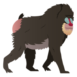 Mandrill monkey illustration mandrill PNG Design