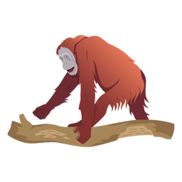 Orangután mono ilustración orangután