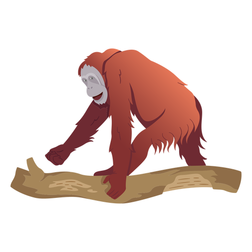 Orangutan monkey illustration orangutan PNG Design