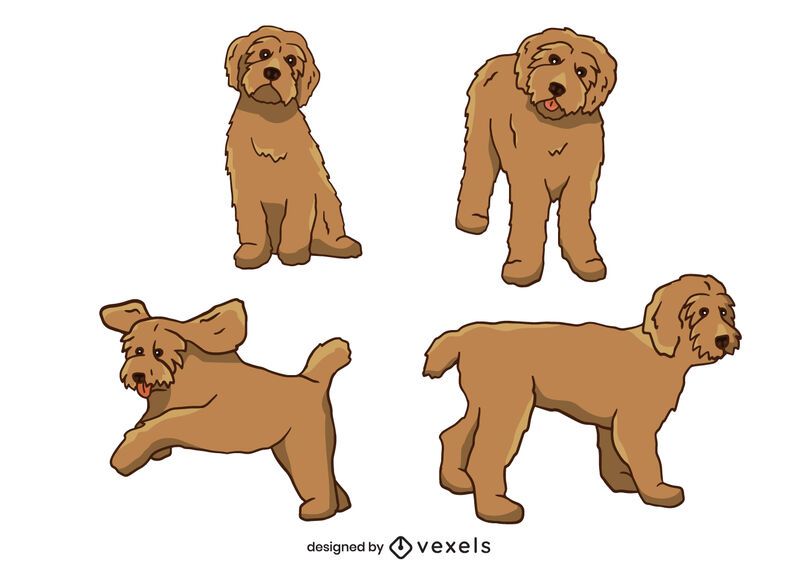 Labradoodle vector set Labradoodle vector set