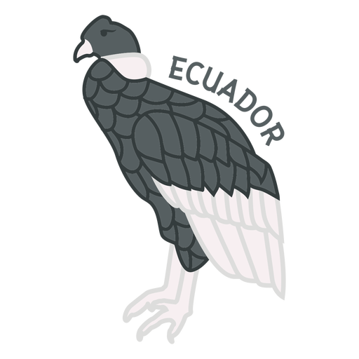 Andean condor flat PNG Design