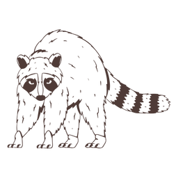 Angry raccoon hand drawn Transparent PNG