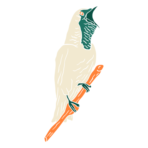 Bare throated bellbird cut out PNG Design