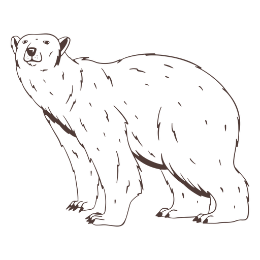 Bear pequena cabeça desenhada à mão Desenho PNG