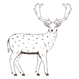 Deer looking back hand drawn PNG Design