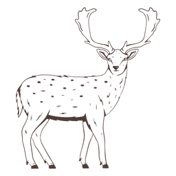 Veado olhando para trás desenhado à mão Desenho PNG