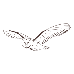 Coruja-das-torres desenhada à mão Transparent PNG