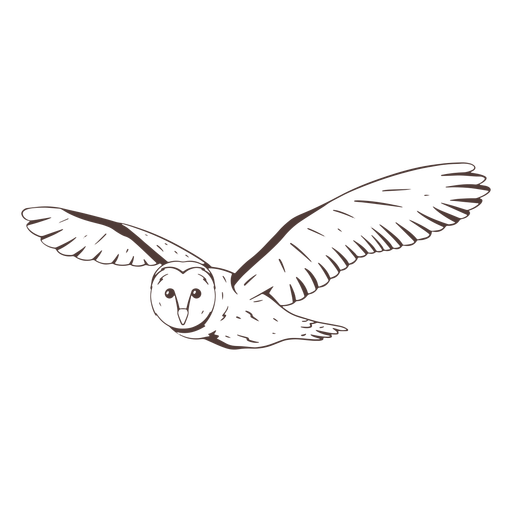 Fliegende Schleiereule Hand gezeichnet PNG-Design