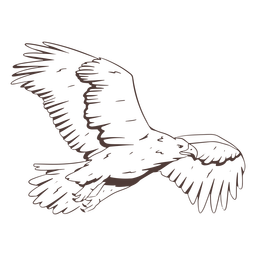Águia voadora desenhada à mão Desenho PNG
