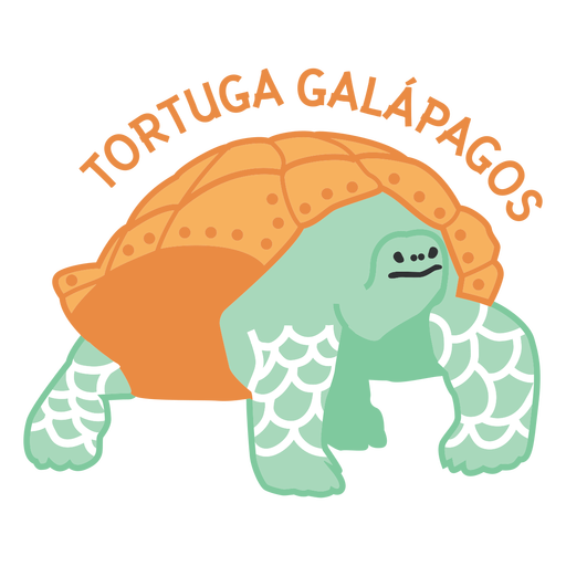 Galapagos tortoise flat PNG Design