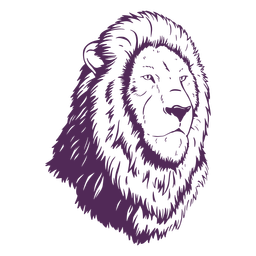 Dibujado a mano cabeza de melena de león Diseño PNG