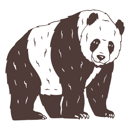 Panda olhando à mão desenhada Desenho PNG