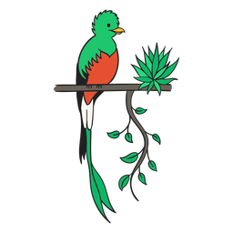 Quetzal guatemala flat Diseño PNG