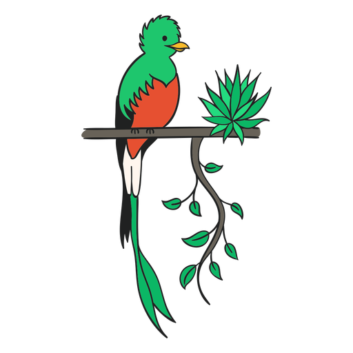 Quetzal guatemala flat PNG Design