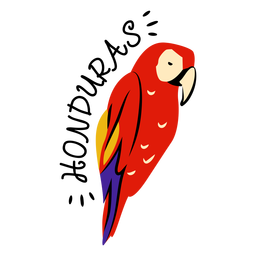 Ilustración de guacamaya roja honduras Diseño PNG Transparent PNG